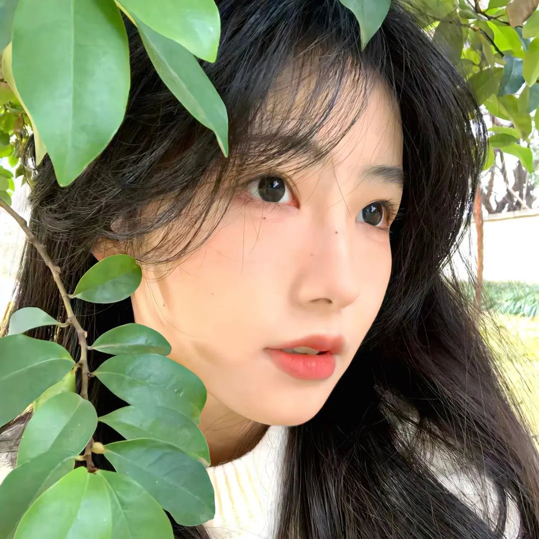 地球上的生灵